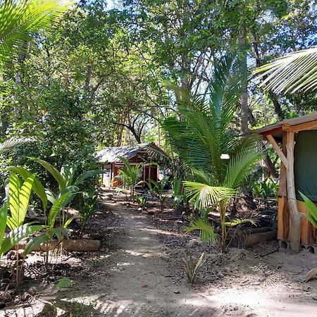 Fully Furnished Family Jungle Tent, Latino Glamping ปาเกรา ภายนอก รูปภาพ