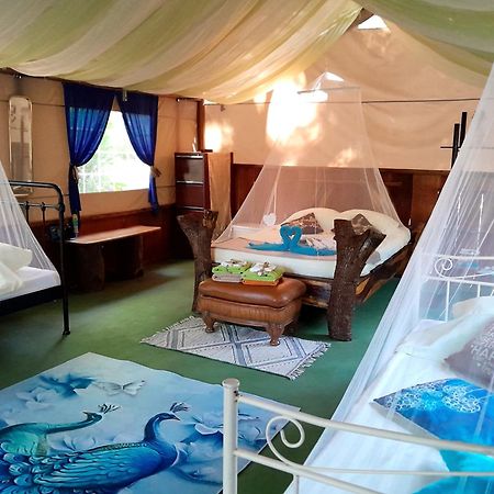 Fully Furnished Family Jungle Tent, Latino Glamping Paquera Hotel ภายนอก รูปภาพ