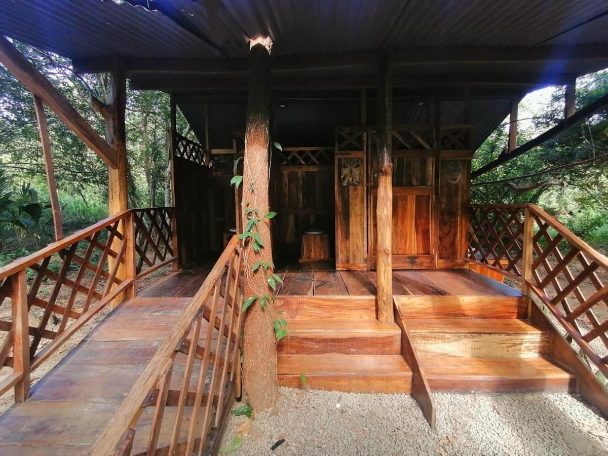 Fully Furnished Family Jungle Tent, Latino Glamping ปาเกรา ภายนอก รูปภาพ