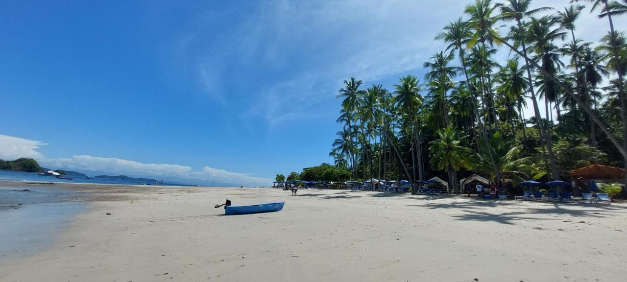 Fully Furnished Family Jungle Tent, Latino Glamping ปาเกรา ภายนอก รูปภาพ