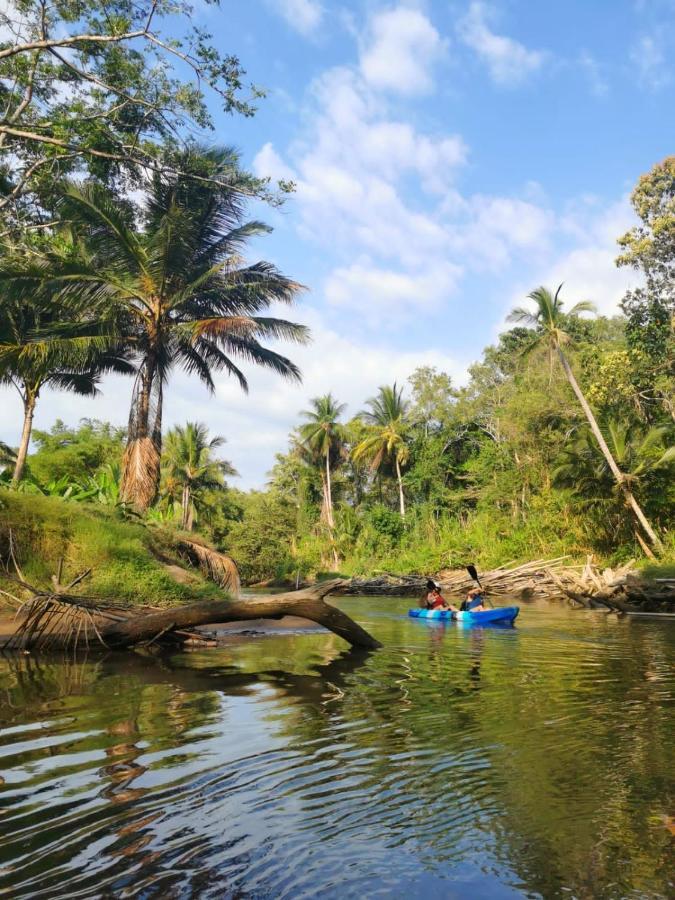 Fully Furnished Family Jungle Tent, Latino Glamping ปาเกรา ภายนอก รูปภาพ