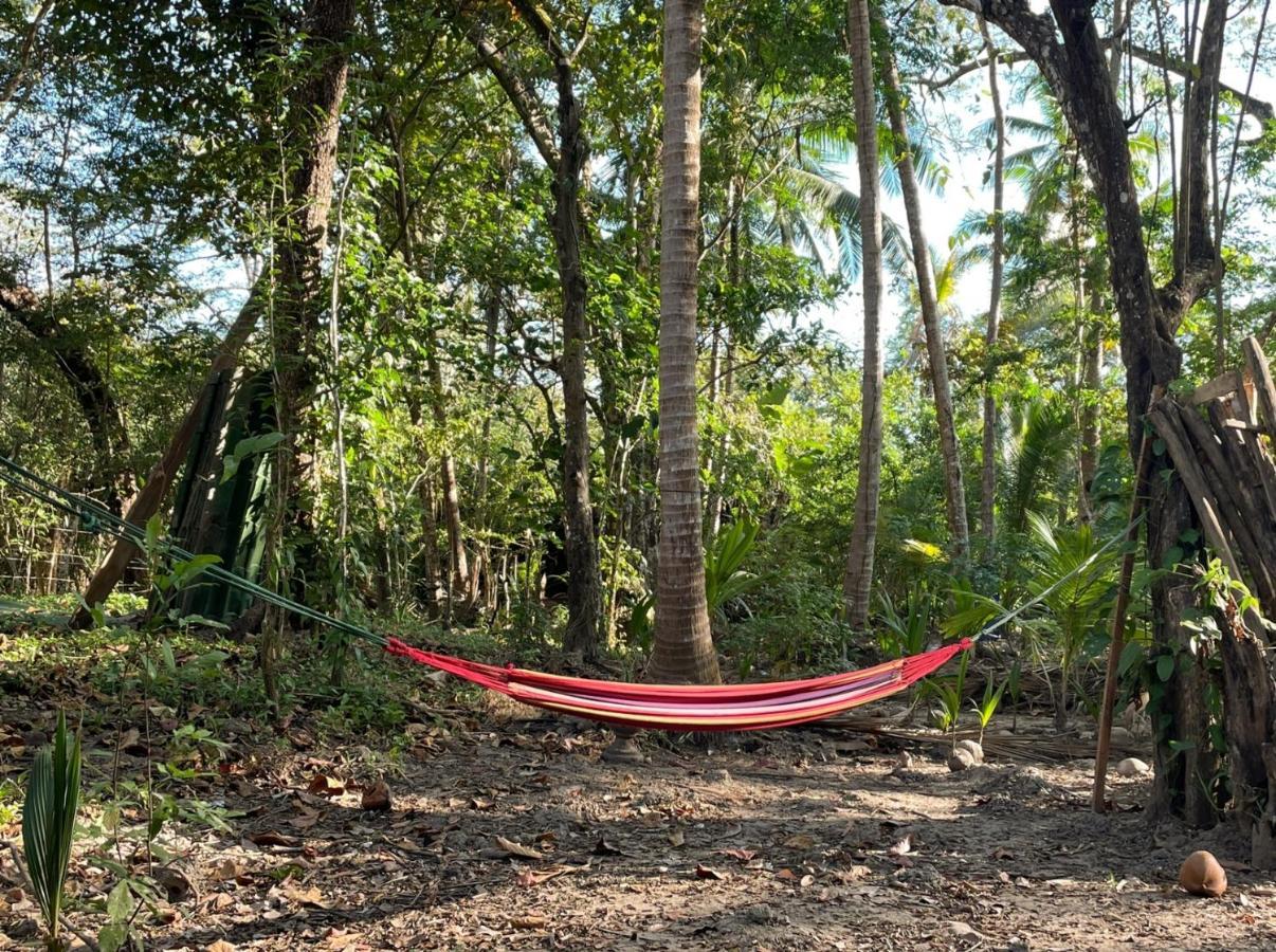 Fully Furnished Family Jungle Tent, Latino Glamping Paquera Hotel ภายนอก รูปภาพ