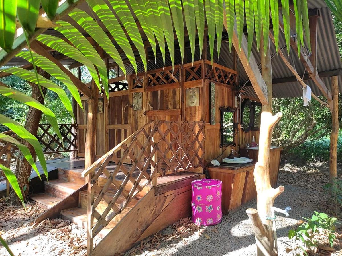 Fully Furnished Family Jungle Tent, Latino Glamping Paquera Hotel ภายนอก รูปภาพ