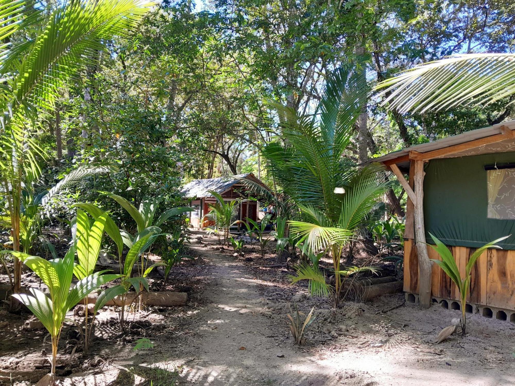 Fully Furnished Family Jungle Tent, Latino Glamping ปาเกรา ภายนอก รูปภาพ