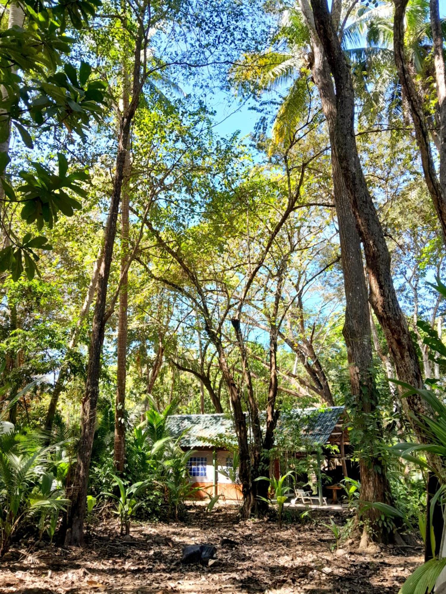 Fully Furnished Family Jungle Tent, Latino Glamping Paquera Hotel ภายนอก รูปภาพ