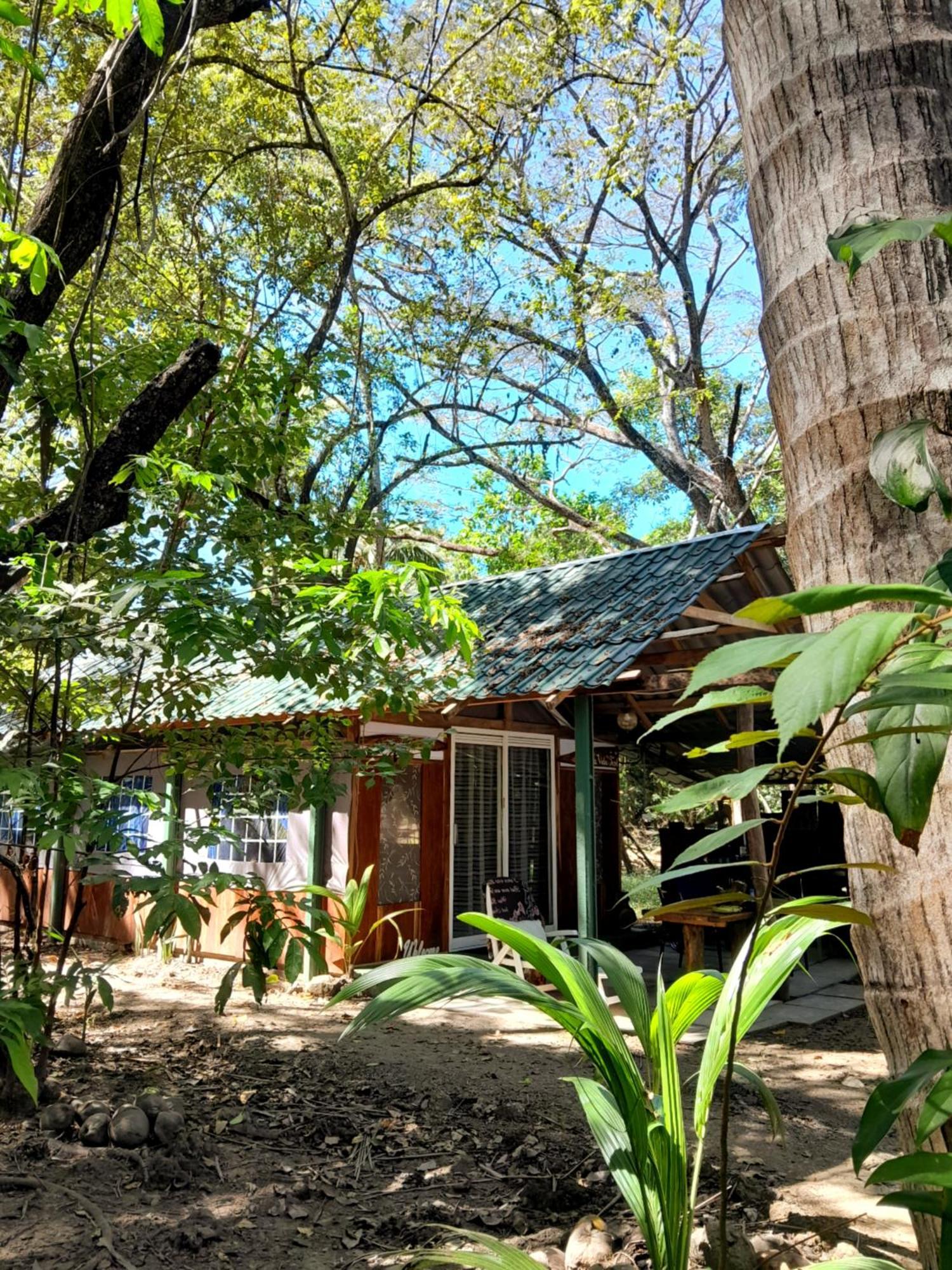 Fully Furnished Family Jungle Tent, Latino Glamping ปาเกรา ภายนอก รูปภาพ