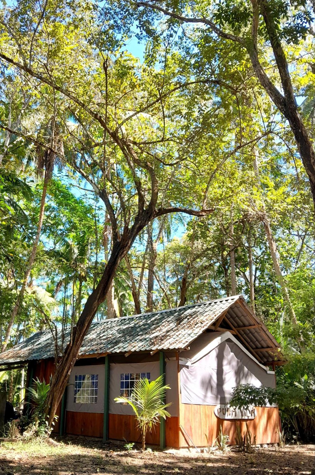 Fully Furnished Family Jungle Tent, Latino Glamping Paquera Hotel ภายนอก รูปภาพ