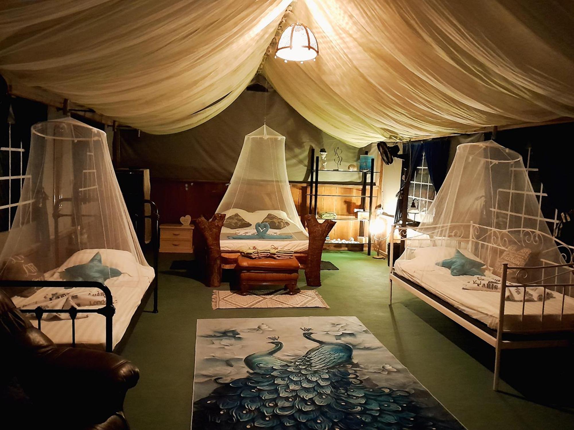 Fully Furnished Family Jungle Tent, Latino Glamping Paquera Hotel ภายนอก รูปภาพ