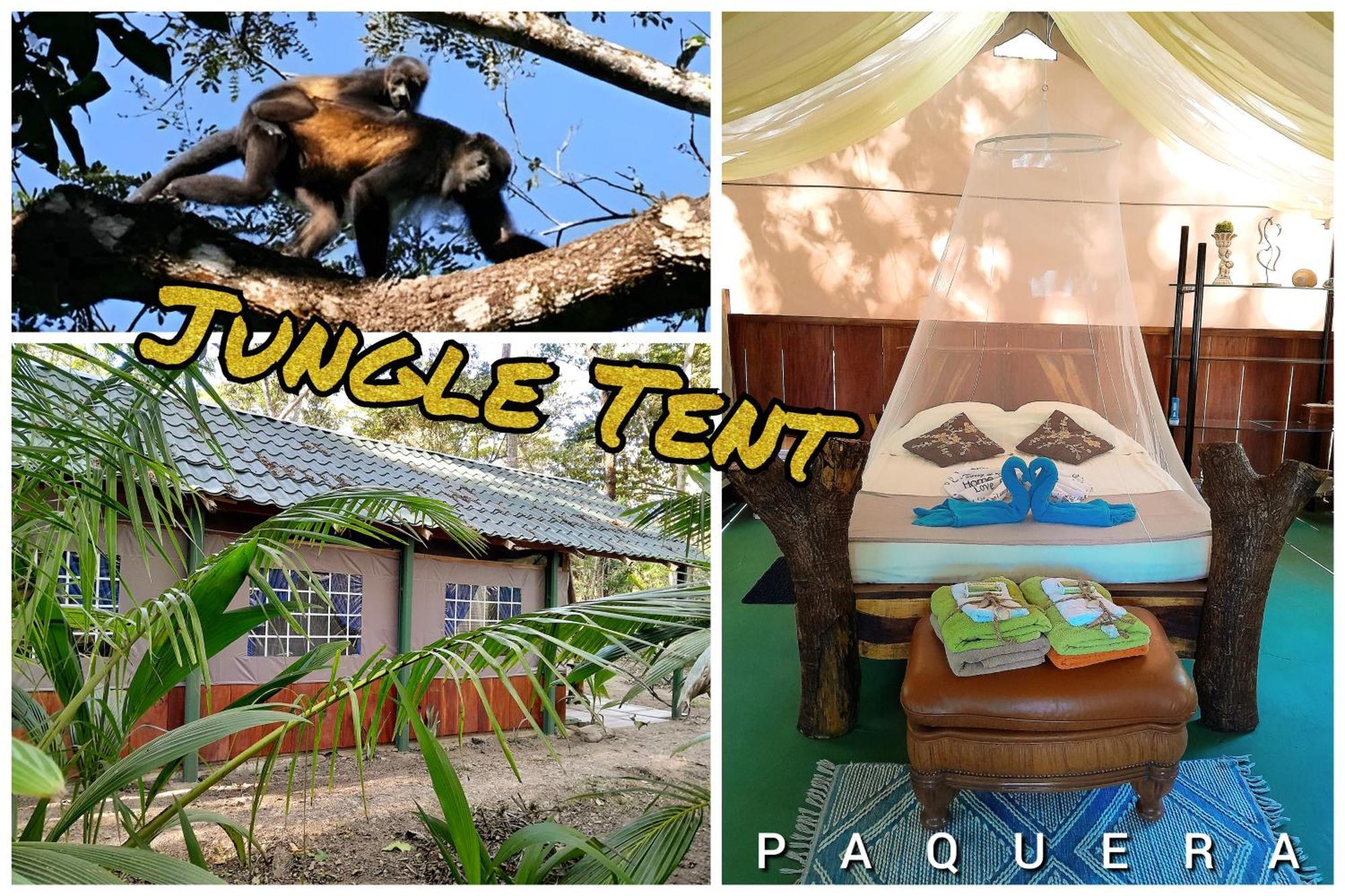 Fully Furnished Family Jungle Tent, Latino Glamping Paquera Hotel ภายนอก รูปภาพ