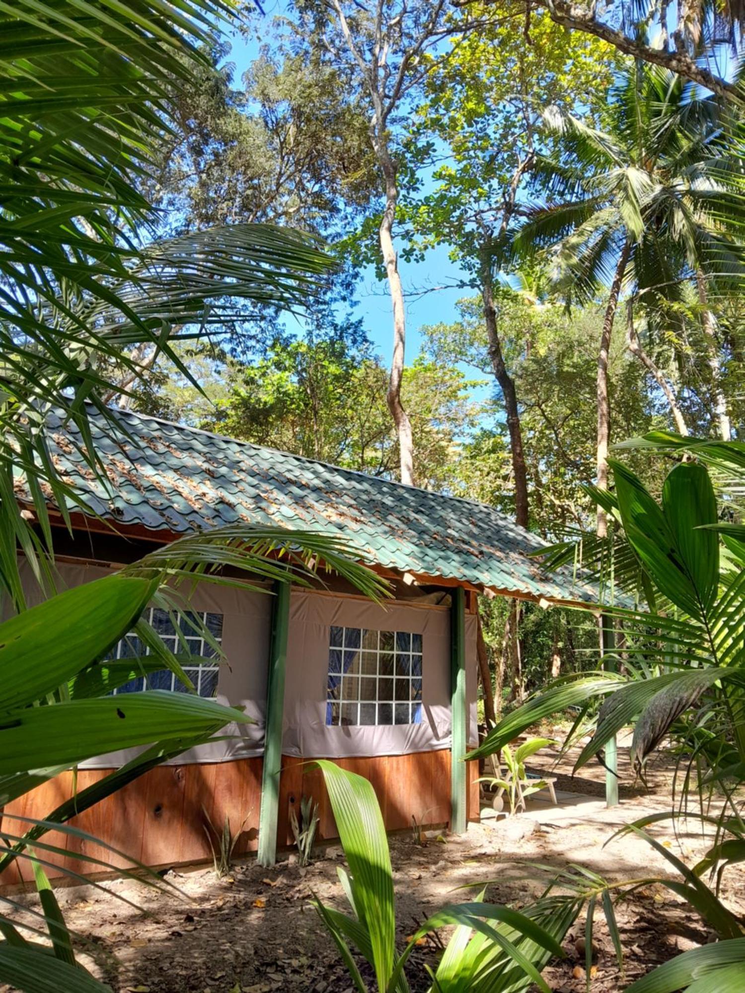 Fully Furnished Family Jungle Tent, Latino Glamping Paquera Hotel ภายนอก รูปภาพ