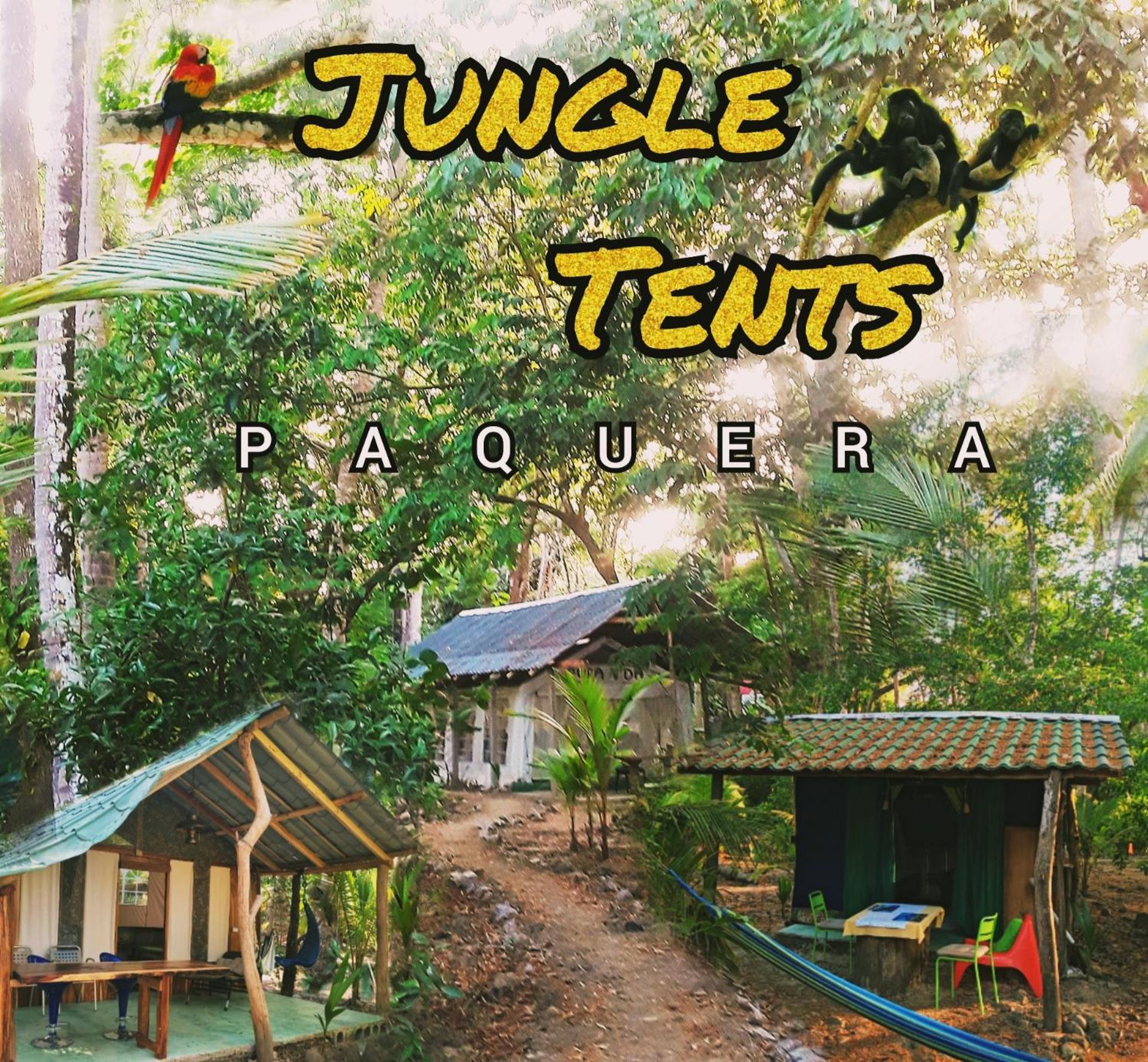 Fully Furnished Family Jungle Tent, Latino Glamping ปาเกรา ภายนอก รูปภาพ
