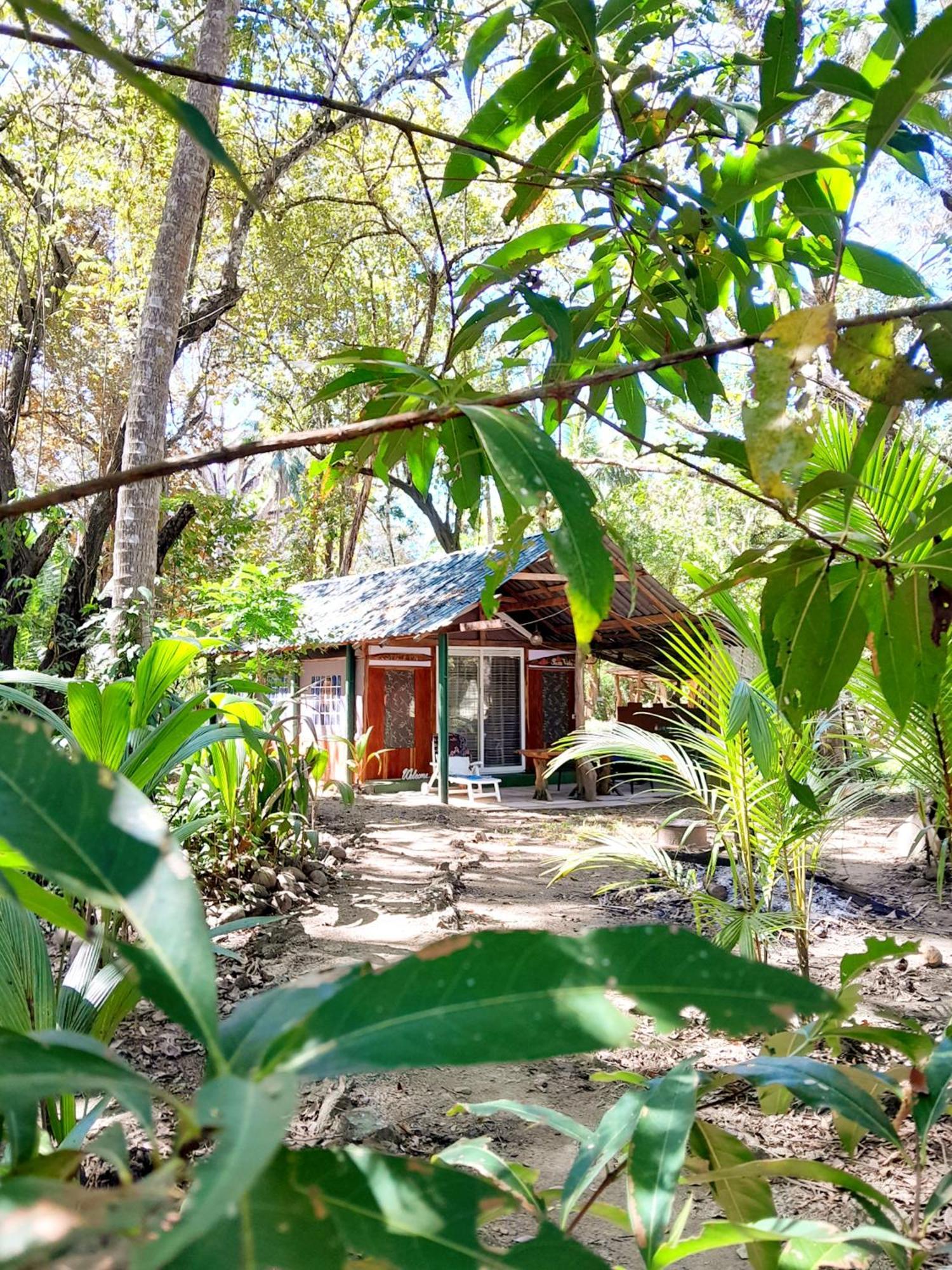 Fully Furnished Family Jungle Tent, Latino Glamping Paquera Hotel ภายนอก รูปภาพ