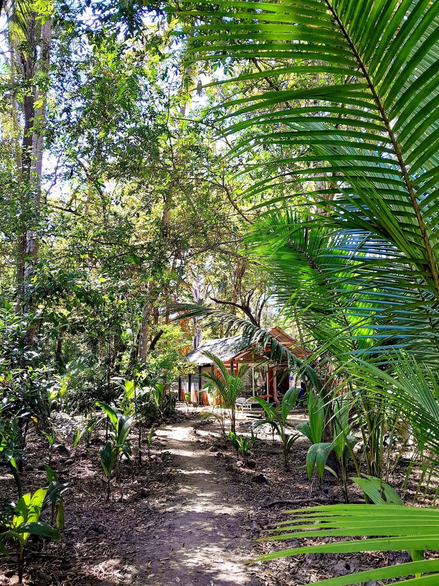 Fully Furnished Family Jungle Tent, Latino Glamping Paquera Hotel ภายนอก รูปภาพ