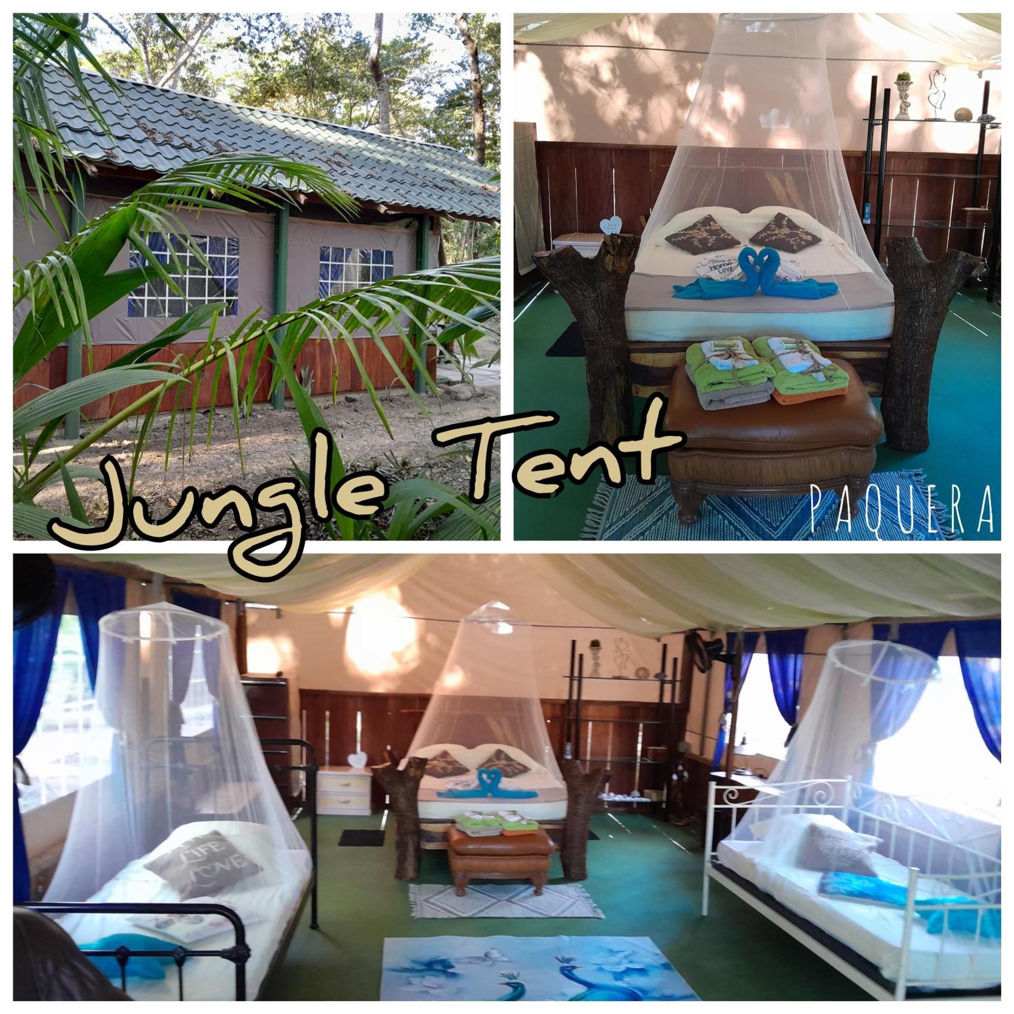 Fully Furnished Family Jungle Tent, Latino Glamping Paquera Hotel ภายนอก รูปภาพ