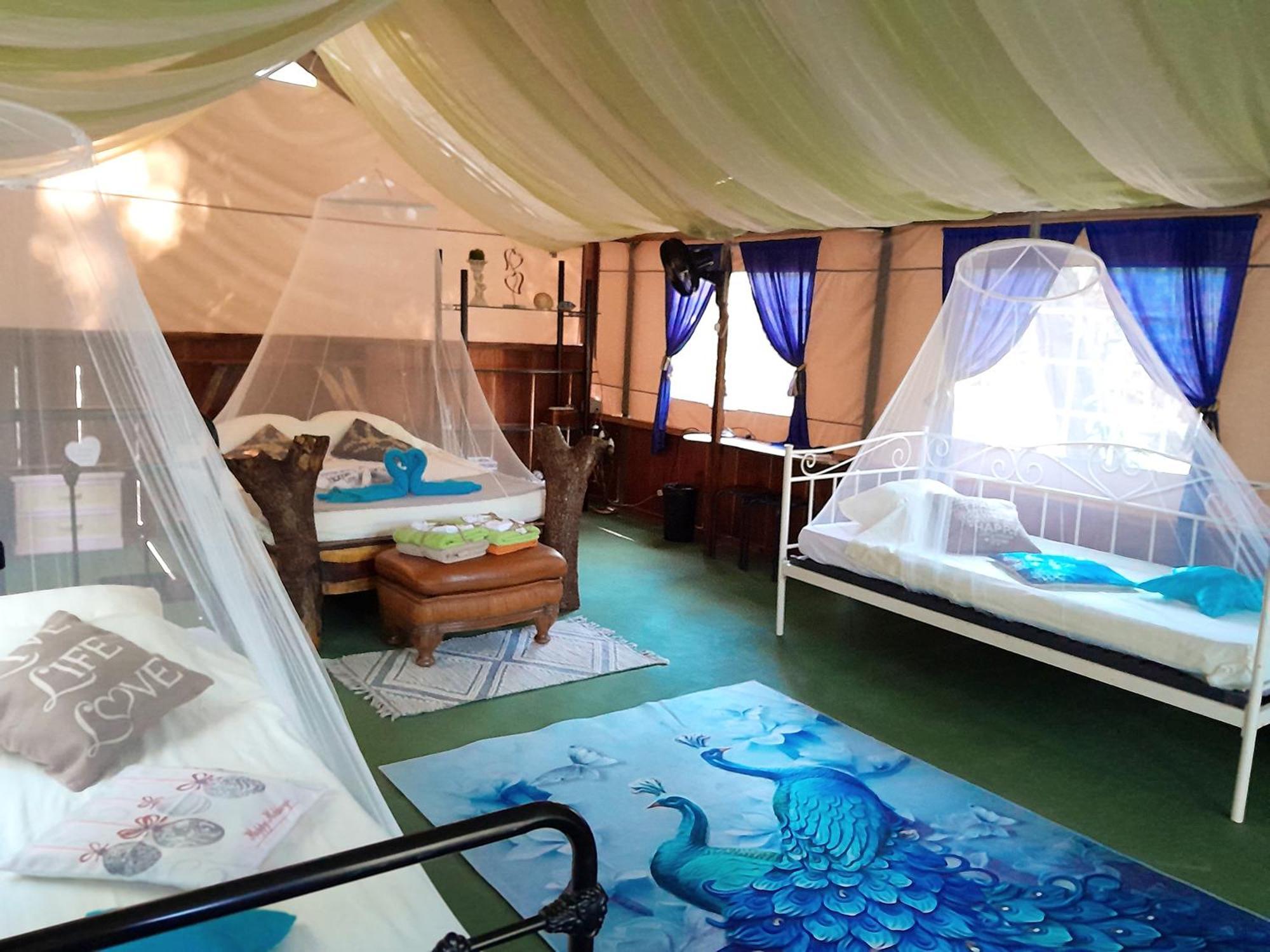 Fully Furnished Family Jungle Tent, Latino Glamping ปาเกรา ภายนอก รูปภาพ