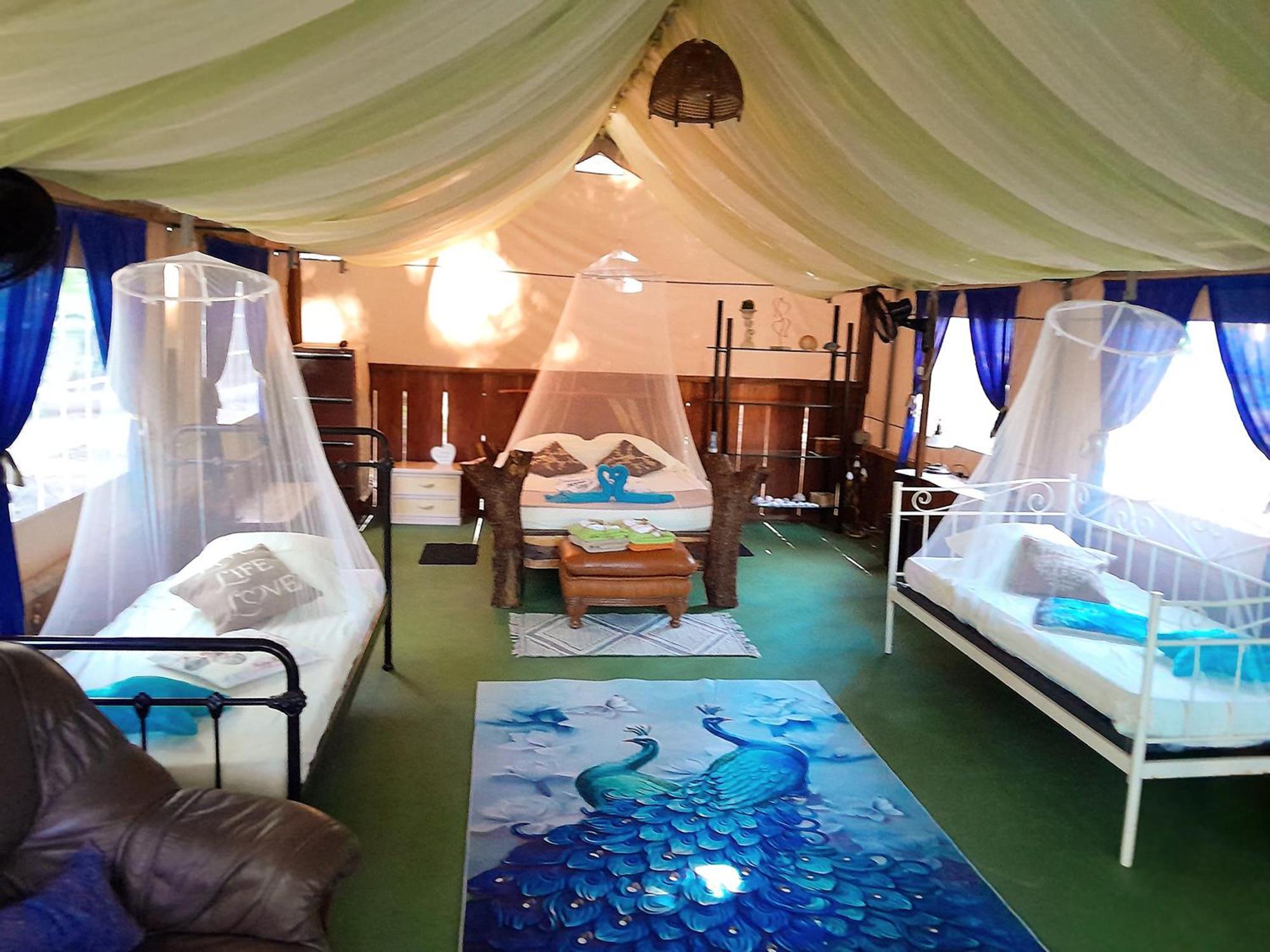 Fully Furnished Family Jungle Tent, Latino Glamping ปาเกรา ภายนอก รูปภาพ