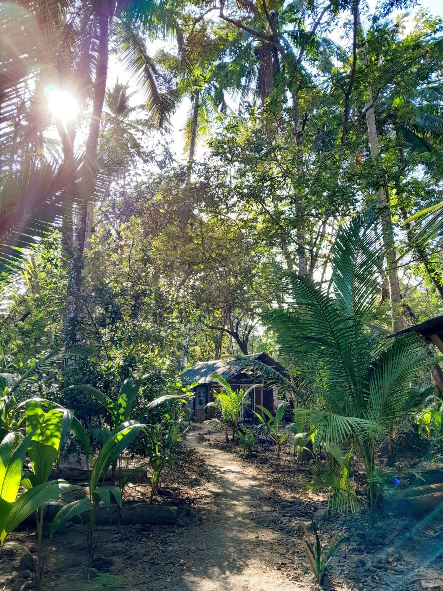 Fully Furnished Family Jungle Tent, Latino Glamping Paquera Hotel ภายนอก รูปภาพ